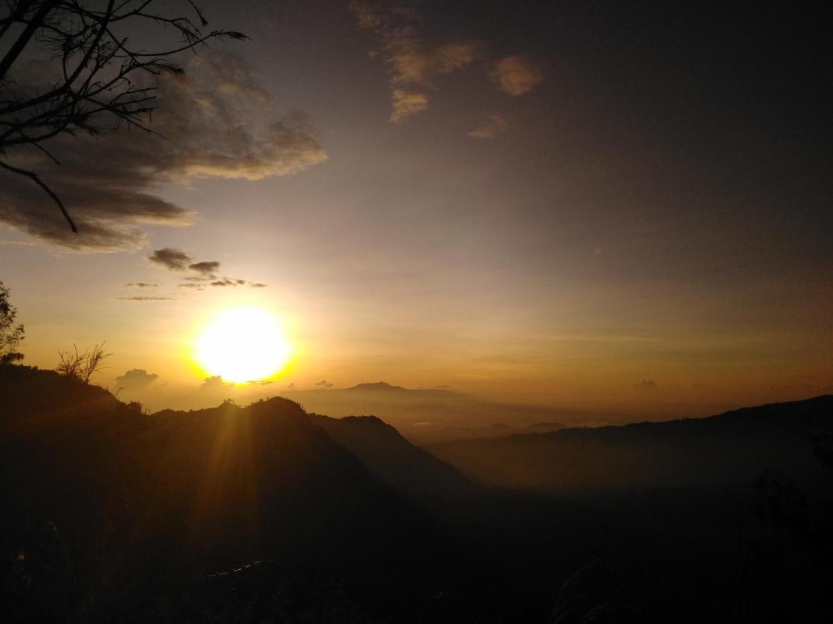 TosariBromo Tanjungアパートメント エクステリア 写真