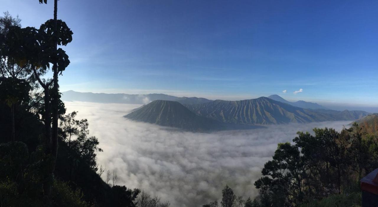 TosariBromo Tanjungアパートメント エクステリア 写真