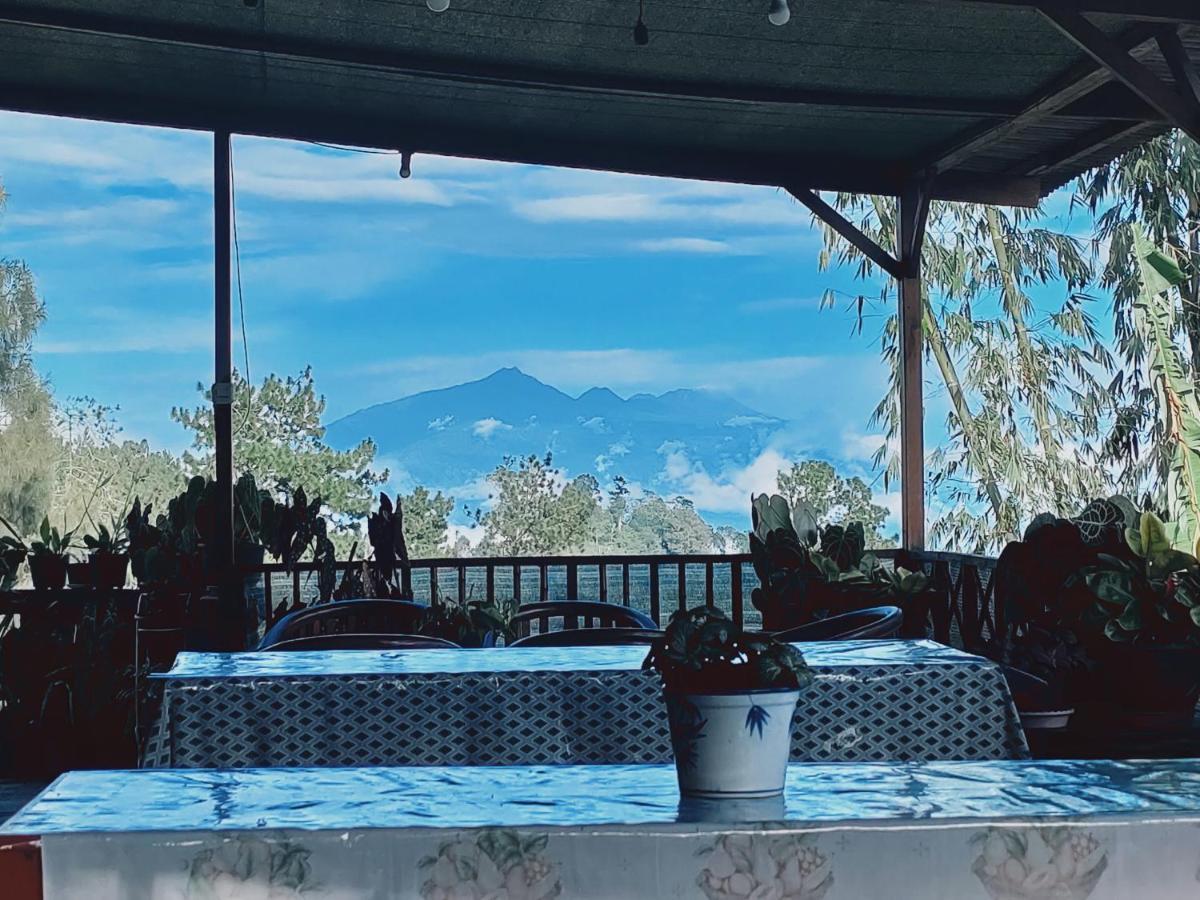 TosariBromo Tanjungアパートメント エクステリア 写真