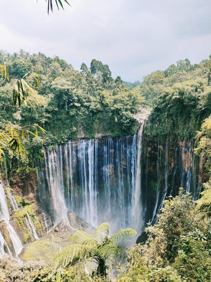 TosariBromo Tanjungアパートメント エクステリア 写真