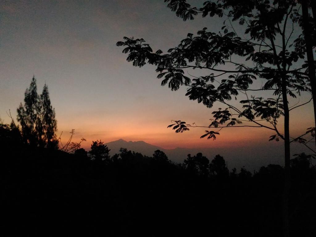 TosariBromo Tanjungアパートメント エクステリア 写真
