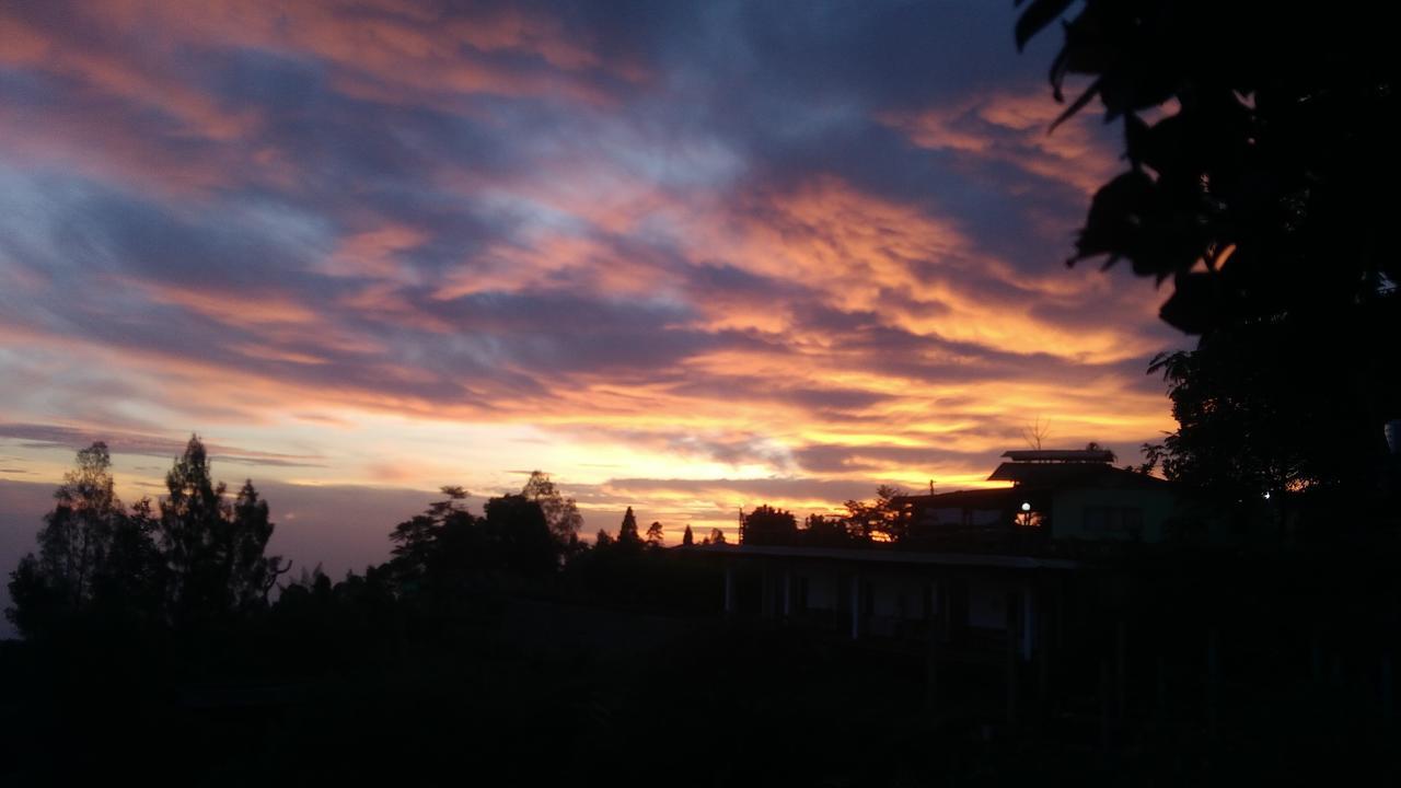TosariBromo Tanjungアパートメント エクステリア 写真