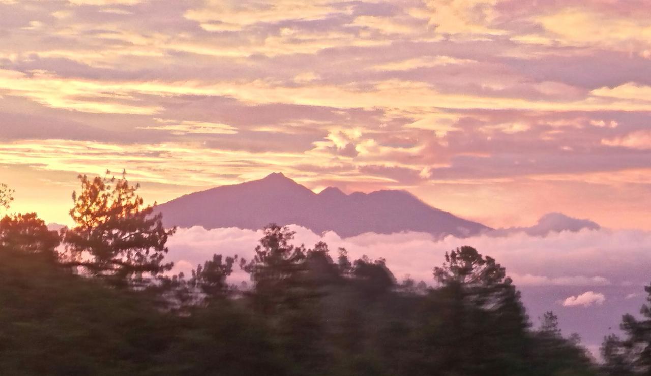 TosariBromo Tanjungアパートメント エクステリア 写真